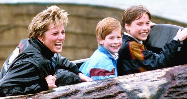 Diana, Guillermo y Harry, en una visita al Thorpe Park. (Gtres)