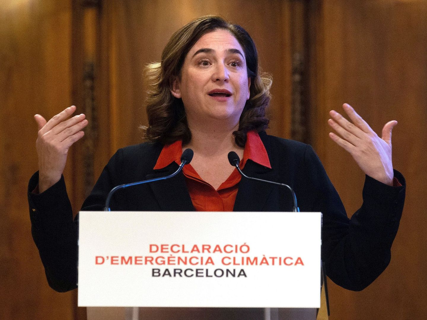 Declaración de emergencia climática en el ayuntamiento de Barcelona (EFE)