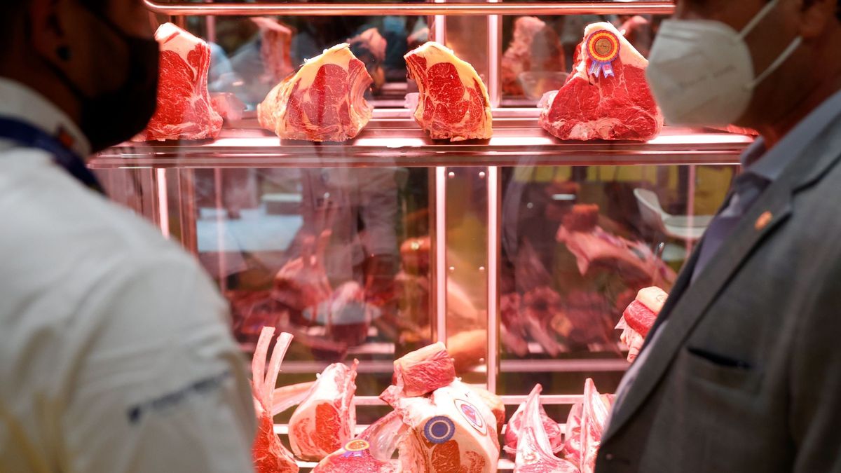 ¿Va a mejorar tu microbiota si pasas de comer carne?