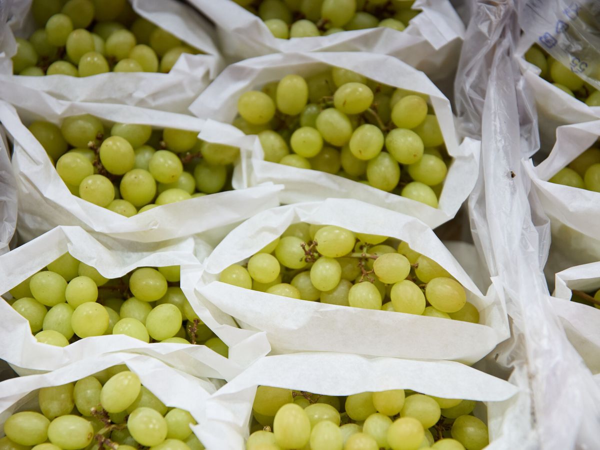 Foto: Racimos de uvas en un mercado de Madrid. (EP/Jesús Hellín)
