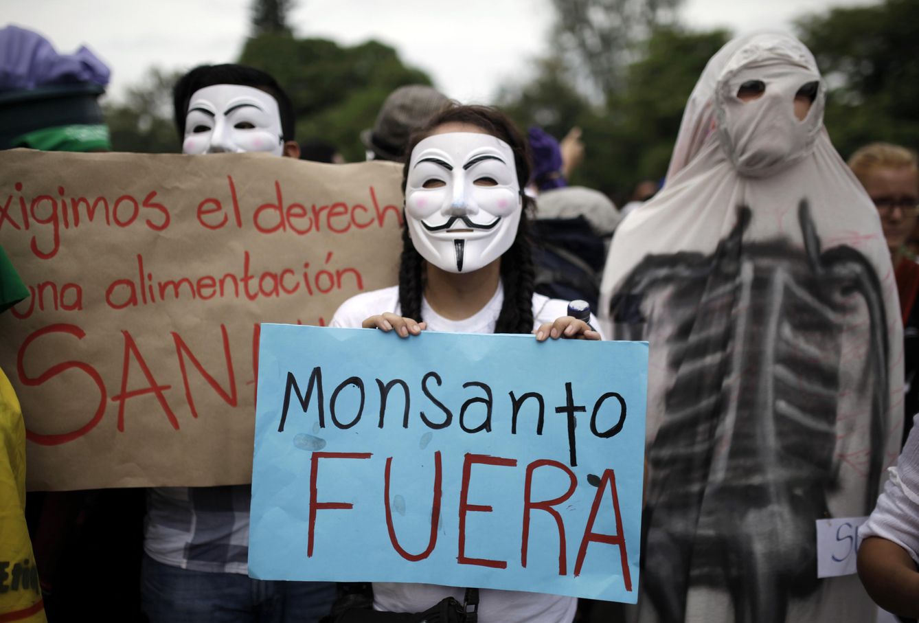 Un grupo de manifestantes protesta contra Monsanto. (Reuters)