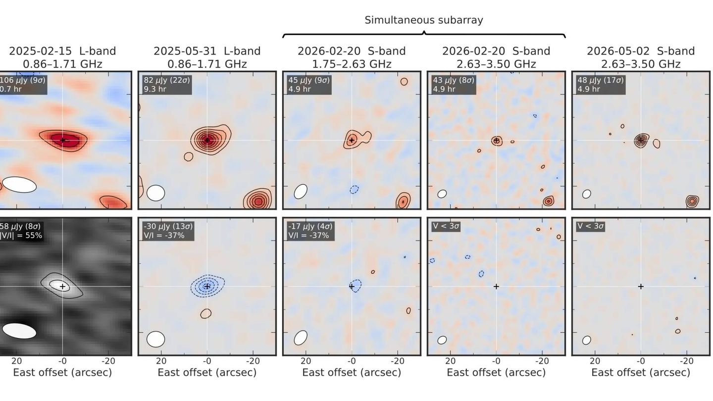 Detecciones de radio del exoplaneta β Pictoris b en cuatro sesiones de observación y en dos bandas de frecuencia. (K.N. Ortiz Ceballos, E. Berger, & Y. Cendes 2026))