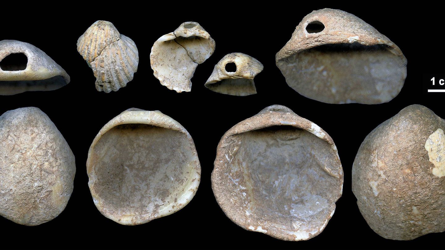 Conchas decoradas hace miles de años apoyan la teoría de los neandertales artistas (Science Advances)