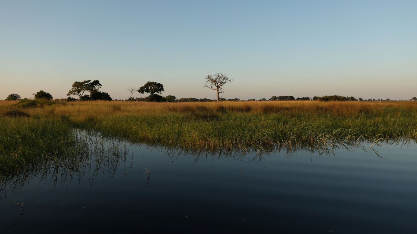 El Delta de Okavango, en Botswana. (Reuters)