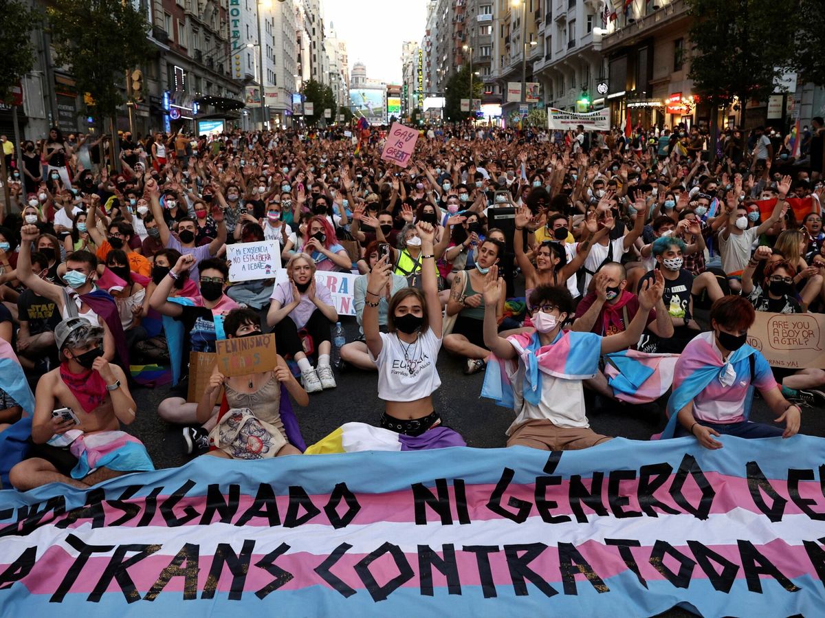 Foto: Centenares de personas participan en la manifestación convocada por Orgullo Crítico Madrid. (EFE)