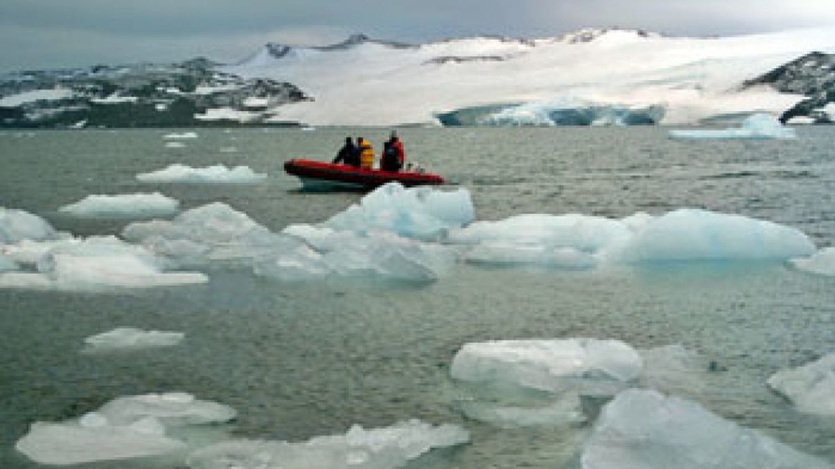Un estudio afirma que los icebergs antárticos promueven la actividad biológica en su entorno