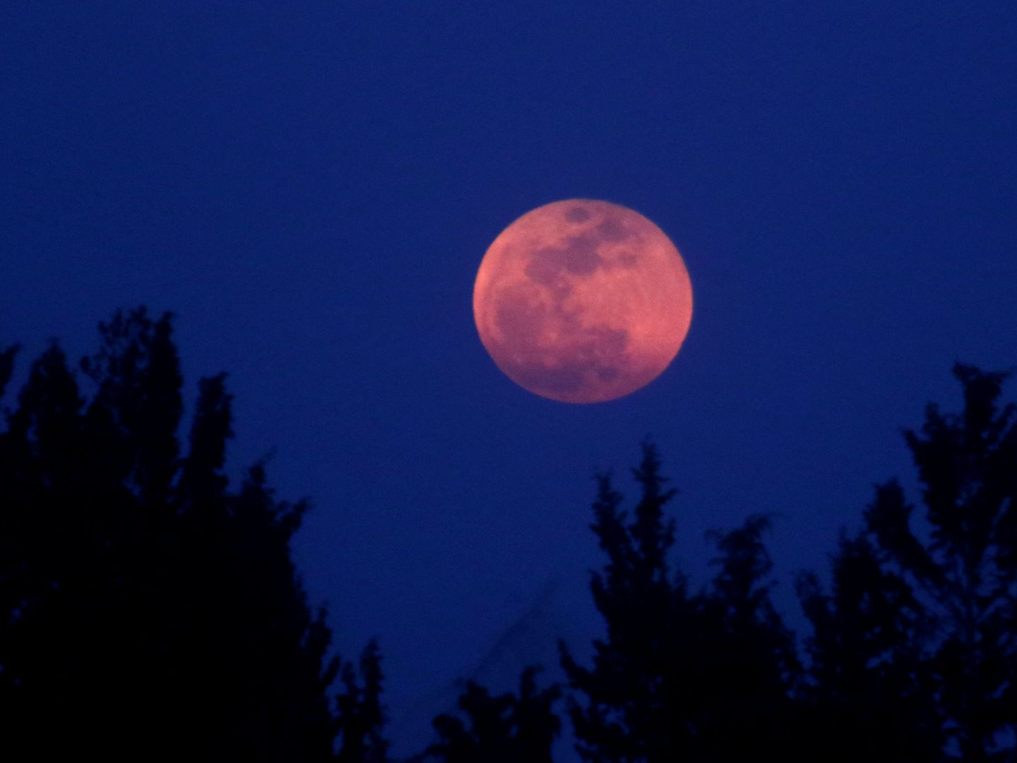 A full moon 'Super Blue Blood Moon' rises in Nicosia, Cyprus January 31, 2018. REUTERS Yiannis Kourtoglou