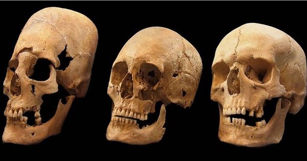Foto: Los cráneos de mujeres encontrados en la investigación. (PNAS) 
