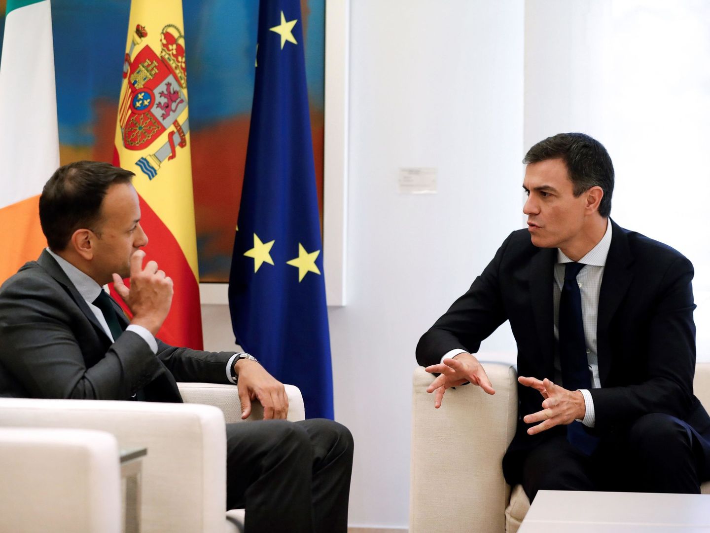 El presidente del Gobierno, Pedro Sánchez, durante su encuentro con el primer ministro de Irlanda, Leo Varadkar. (EFE)