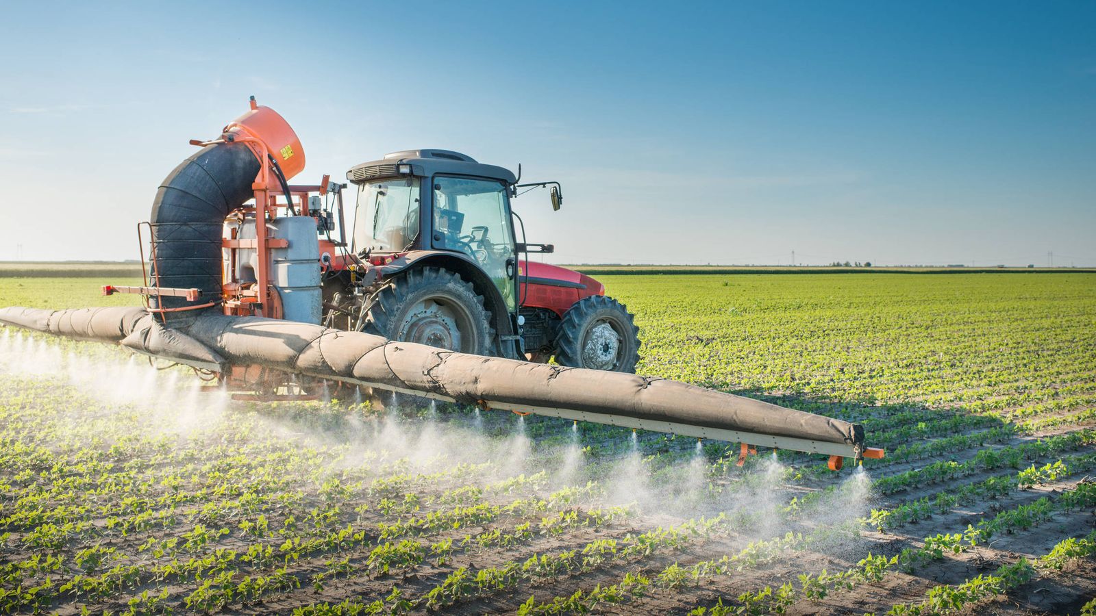 Foto: Vertido de herbicidas con maquinaria agrícola. (iStock)