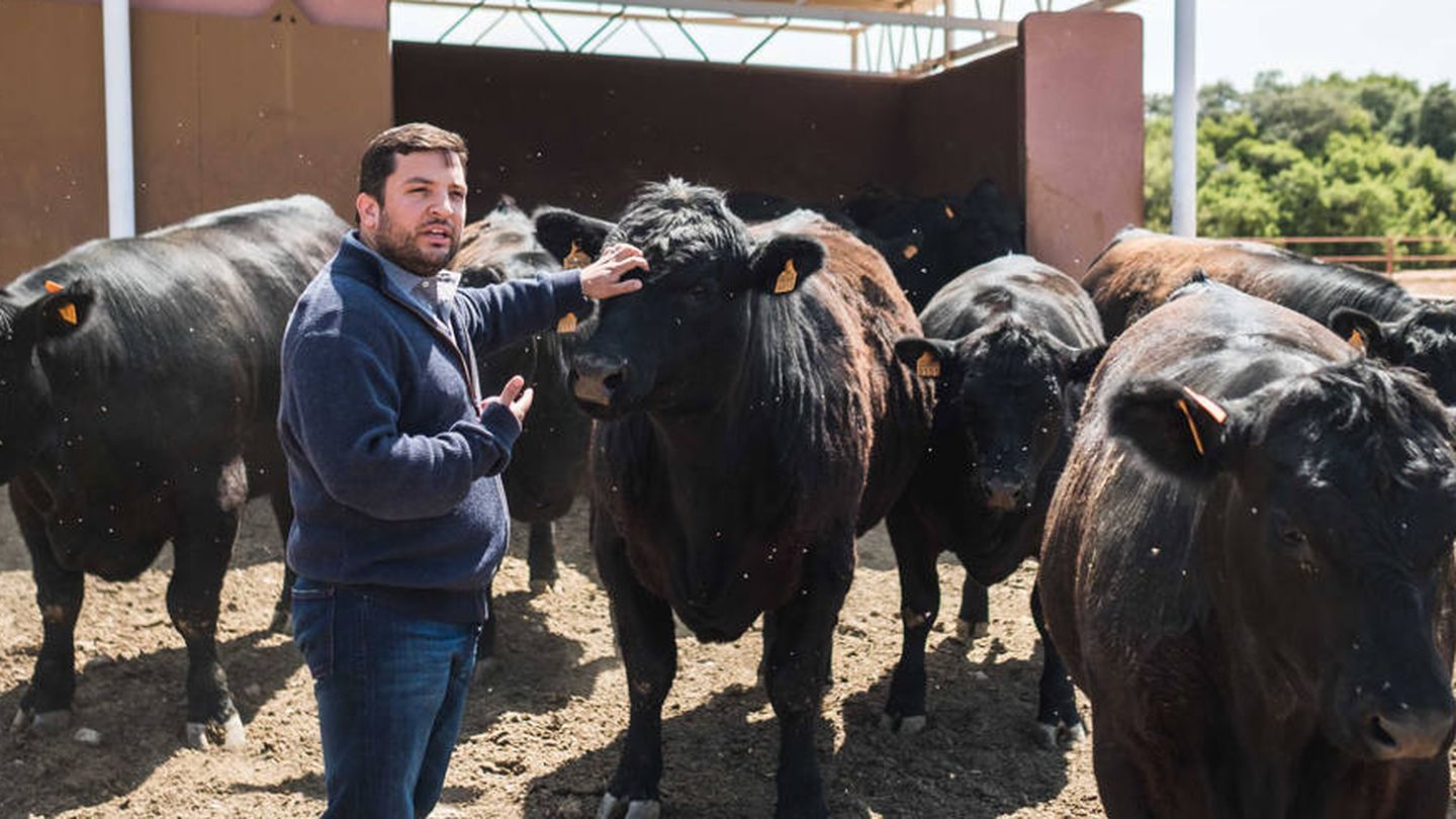El empresario venezolano José Roberto Rincón, con algunas de sus cabezas de ganado. (Roberto Gómez)