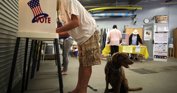 Foto: Bob Ballentine, de 63 años, vota en las primarias en un colegio electoral de Los Ángeles, California, el 5 de junio de 2018. (Reuters)