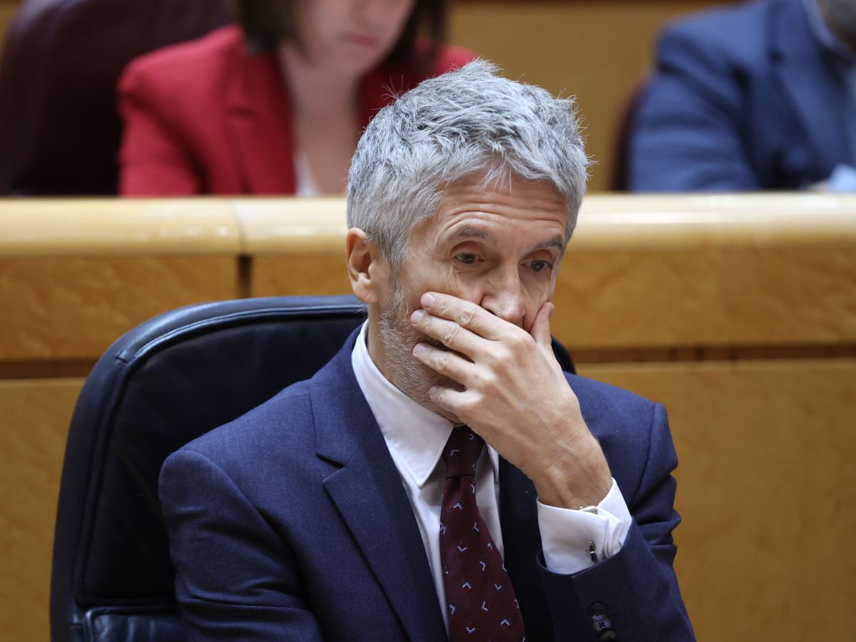 Foto: El ministro del Interior, Fernando Grande-Marlaska. (EFE/Kiko Huesca)