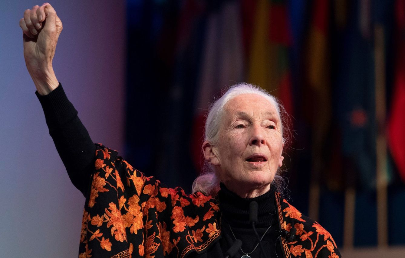 La primatóloga Jane Goodall, durante un discurso en una cumbre mundial. (EFE)