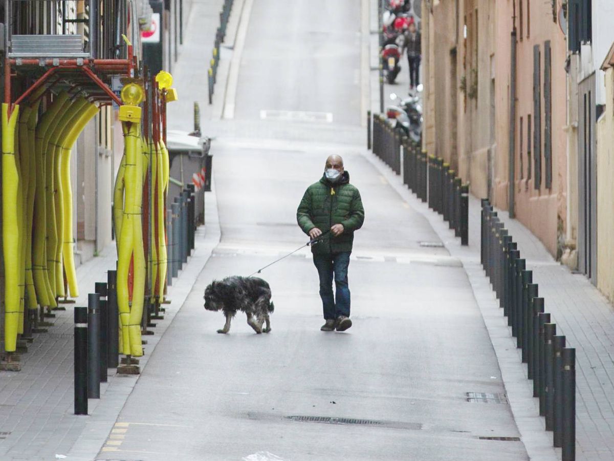 Foto: Una persona pasea a su perro en Barcelona. (EFE)