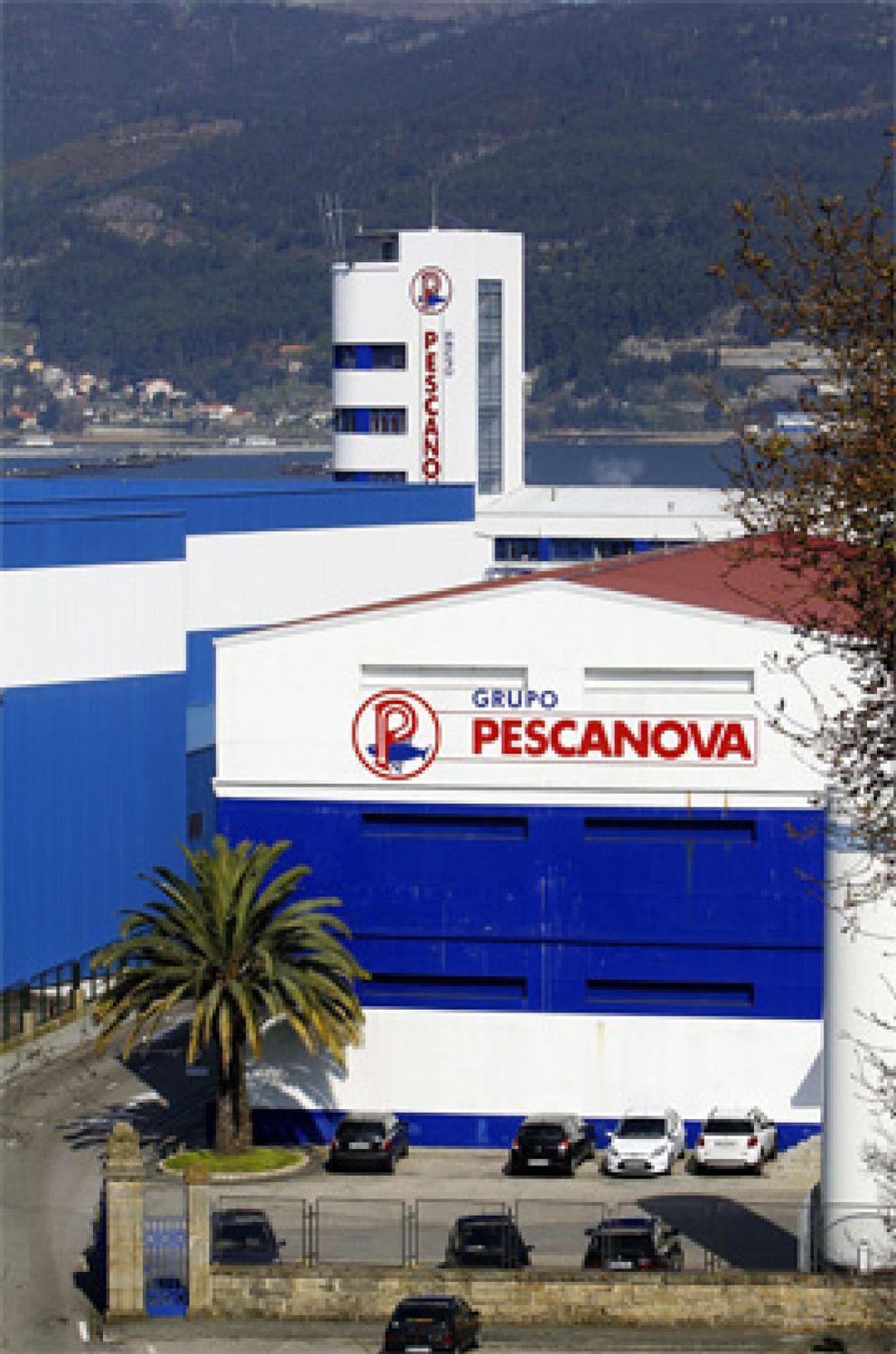 Foto: Pescanova oculta más de 500 millones de deuda en operaciones cruzadas con filiales
