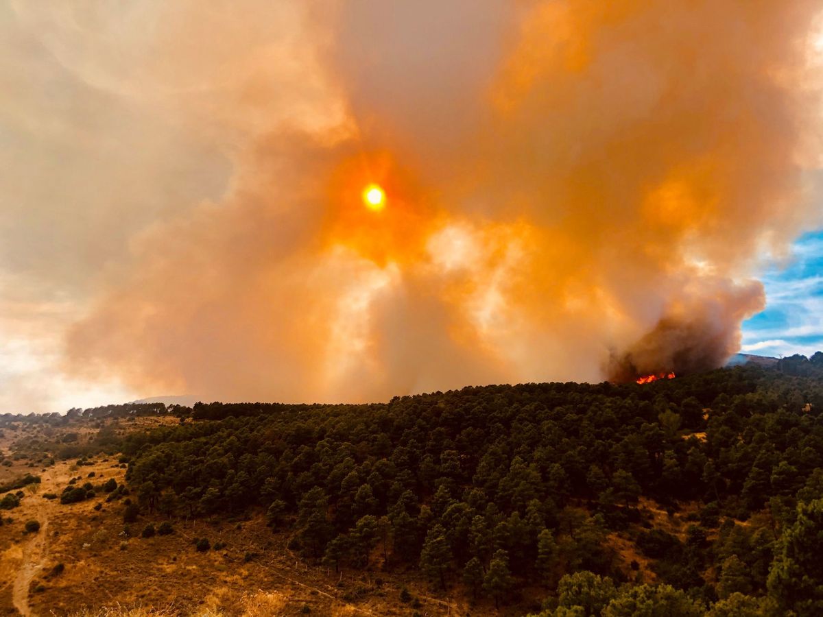 Foto: Imagen de las llamas producidas por el incendio forestal de Robledo de Chavela este domingo (EFE)