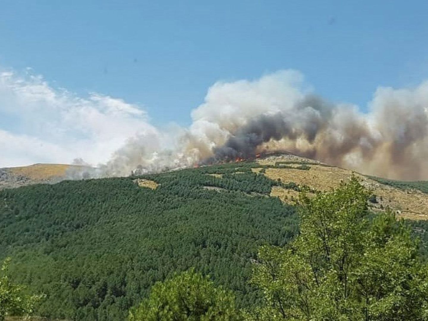 Fotografía facilitada por el Ayuntamiento de Sotillo (Ávila), del incendio declarado este sábado. (EFE)