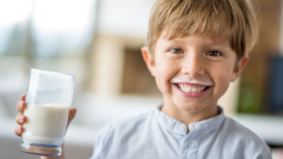 La leche es mala para los resfriados: los científicos lo demuestran
