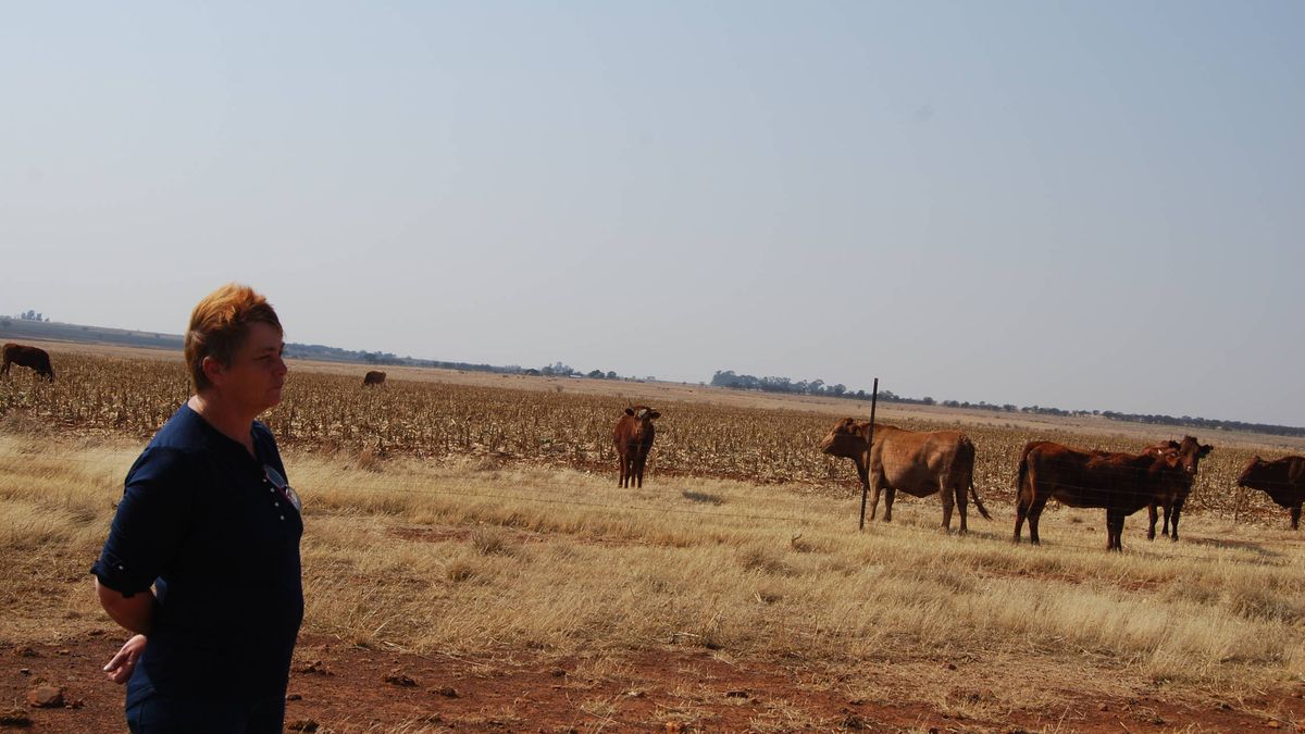 “Matar al bóer”: asesinatos y expropiaciones contra los granjeros blancos de Sudáfrica