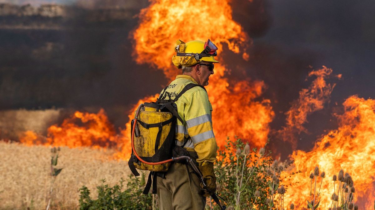 Un investigado por el incendio que arrasó casi 2 hectáreas en el paraje Rioseco (Burgos)