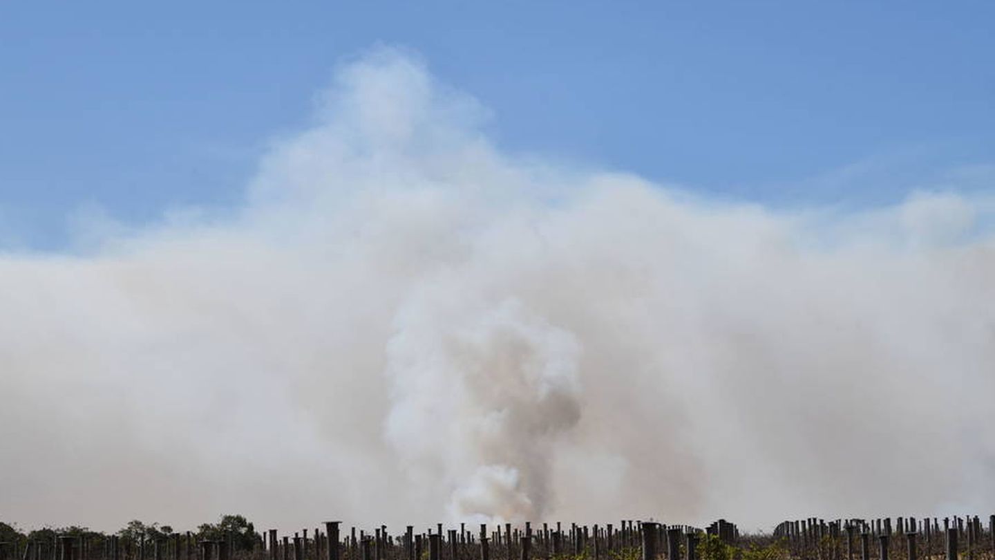 Humo proveniente de un incendio en Australia. Foto: EFE EPA DAVID MARIUZ
