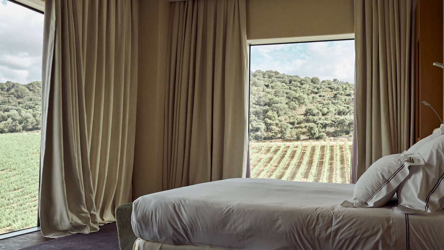 Aquí, entre viñedos, soñarás. (Cortesía Valbusenda Hotel &Spa)