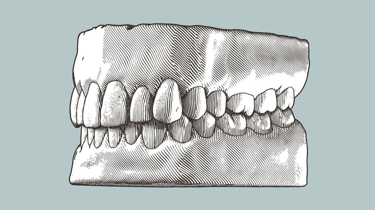 Esta es la curiosa razón evolutiva por la que es tan común rechinar los dientes