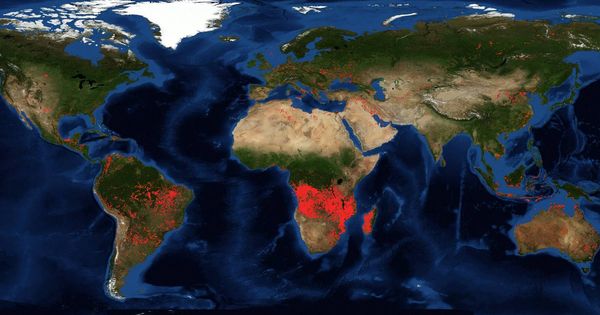 Foto: Comparación de los incendios activos en las últimas 24 horas. (NASA)