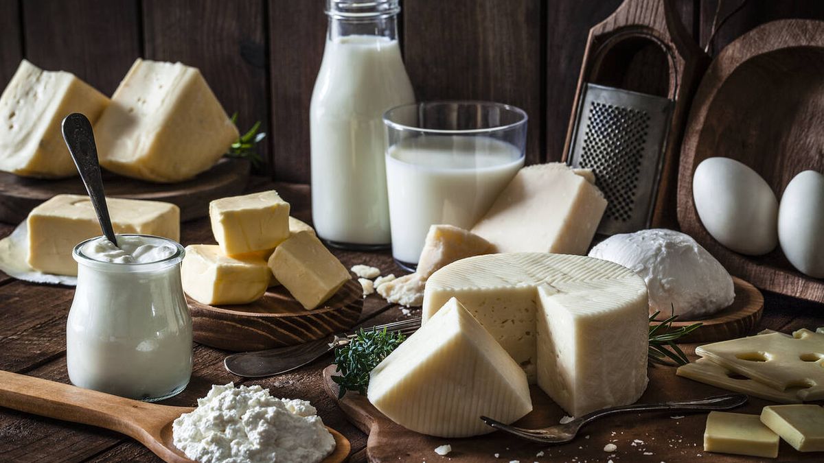 ¿Es sano tomar lácteos? ¿Necesitamos comer yogures, queso o leche para vivir?