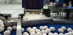 Post de Estas son las personas que no deben comer huevos a diario, según los expertos