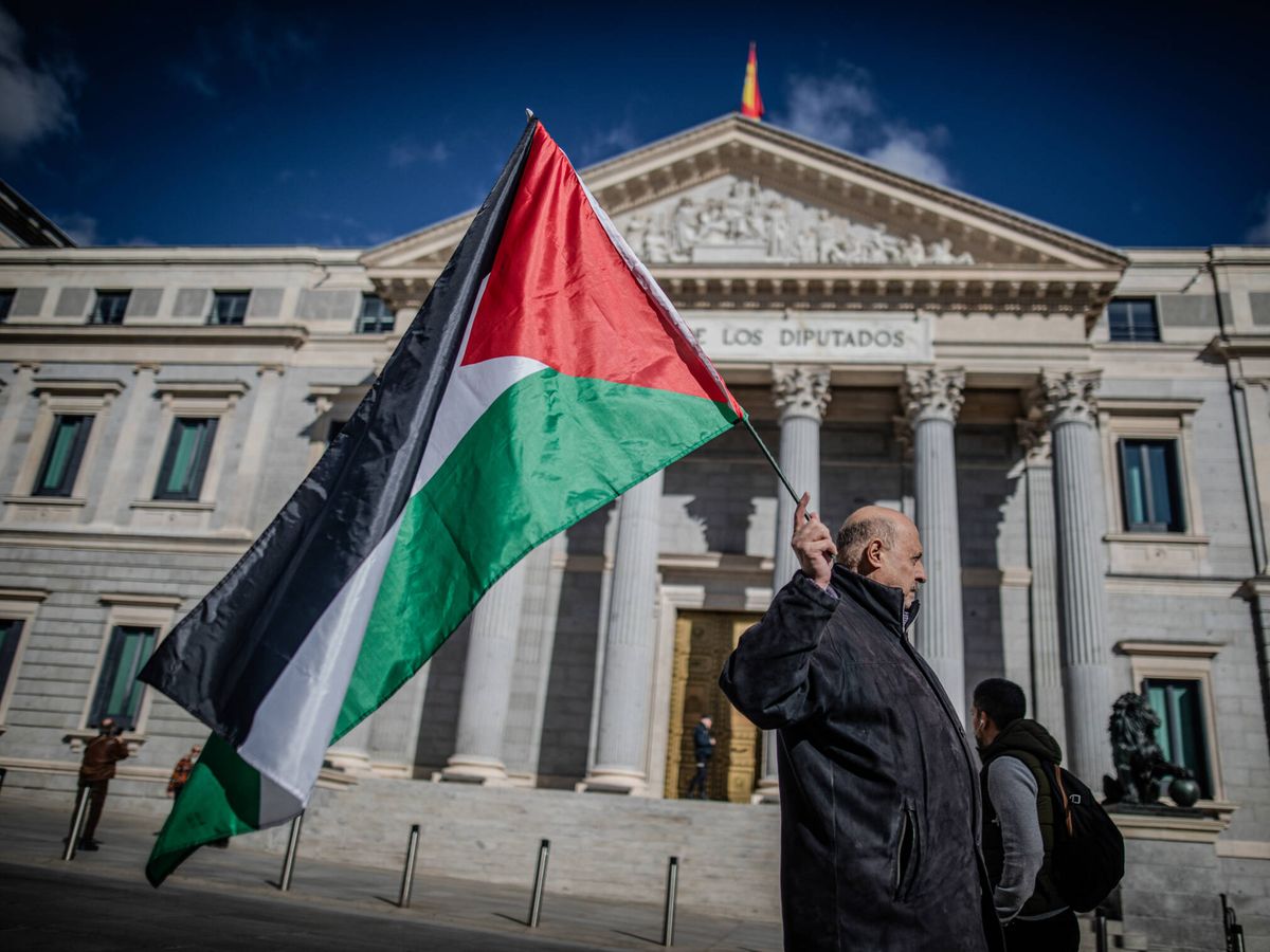 Foto: Un hombre ondea una bandera palestina frente al Congreso de los Diputados el pasado mes de noviembre. (Getty Images/David Canales)