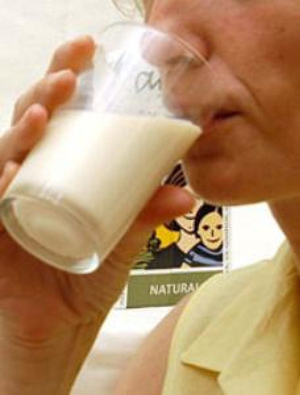 Foto: Descubra las propiedades de las distintas leches vegetales
