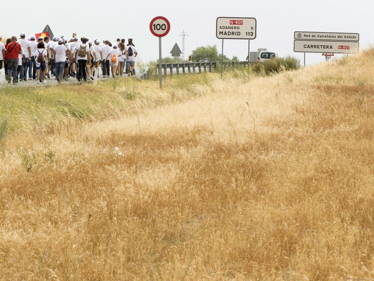 Foto: Ganaderos durante su tramo final hacia Madrid. (EFE/Raúl Sanchidrián)