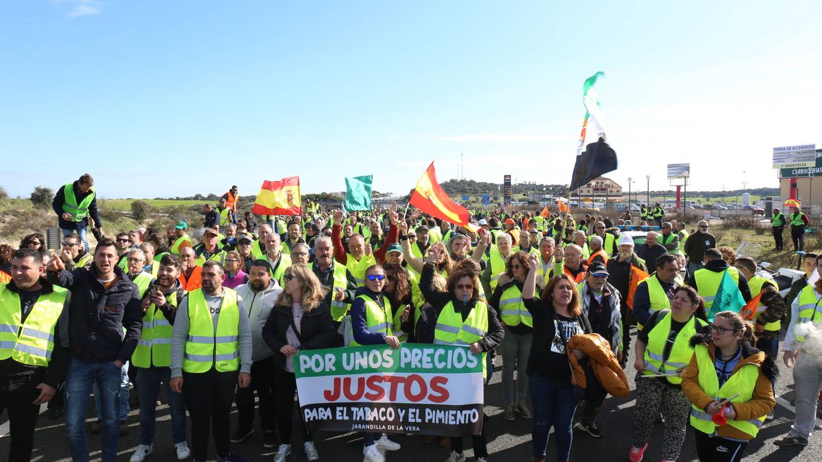 El campo colapsa Extremadura: 15 km de atasco y protestas de los conductores