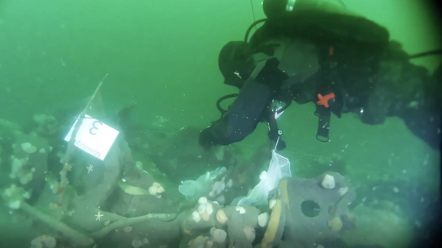 Un buzo de la Armada danesa recolecta mejillones comunes en los restos (Katrine Juul Andresen)