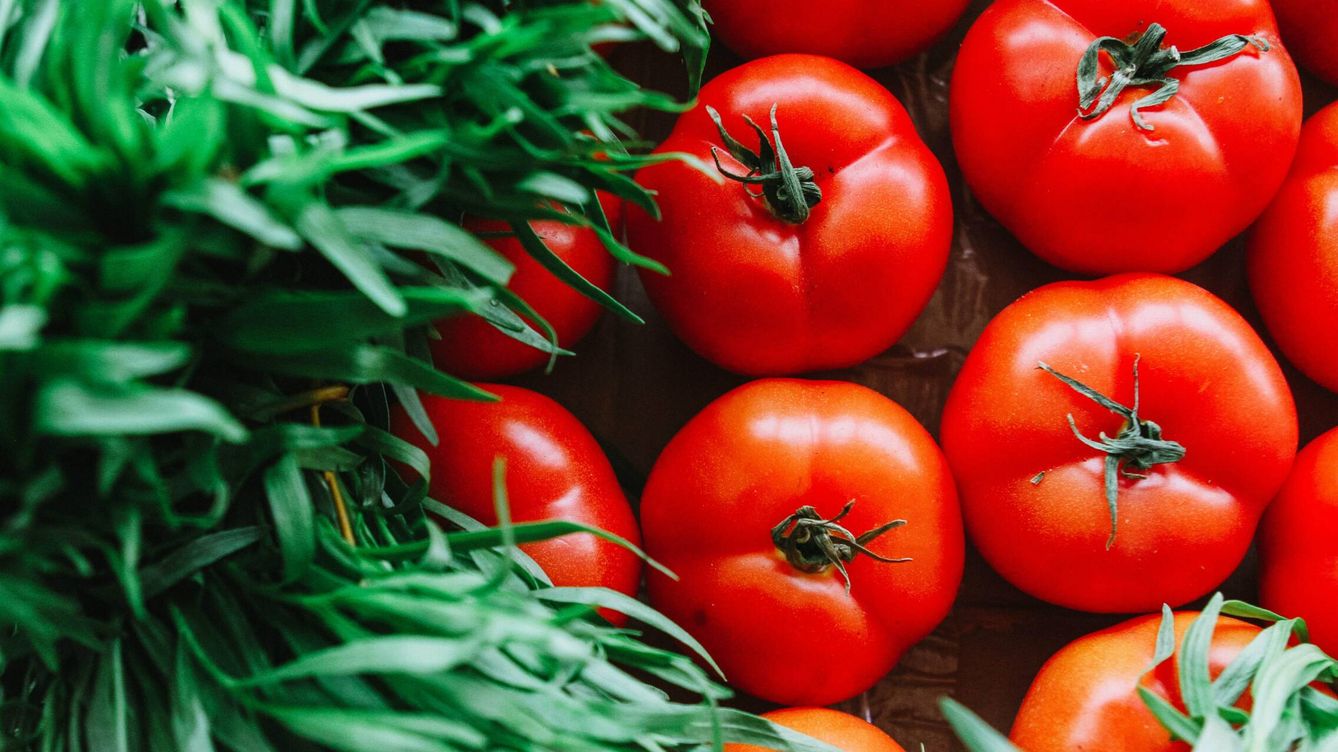 Comer tomate mejora la salud del microbioma intestinal