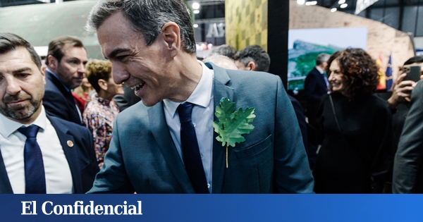 Gobierno grogui