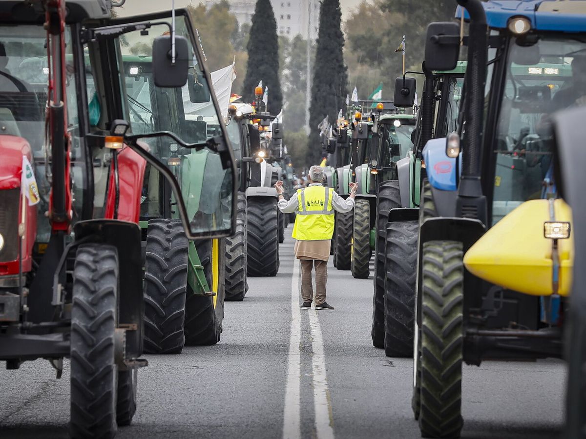 Foto: Agricultores se manifiestan el pasado mes de febrero en Sevilla. (EFE/Jose Manuel Vidal)