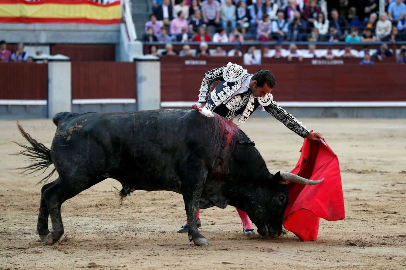 Pepe Moral, durante su primer toro en la vigésimo séptima corrida de la Feria de San Isidro. (EFE) 