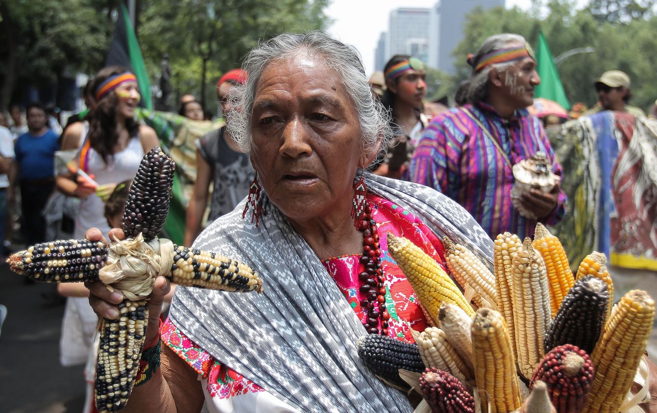 Las comunidades indígenas están perdiendo el derecho a usar sus semillas ancestrales (EFE)