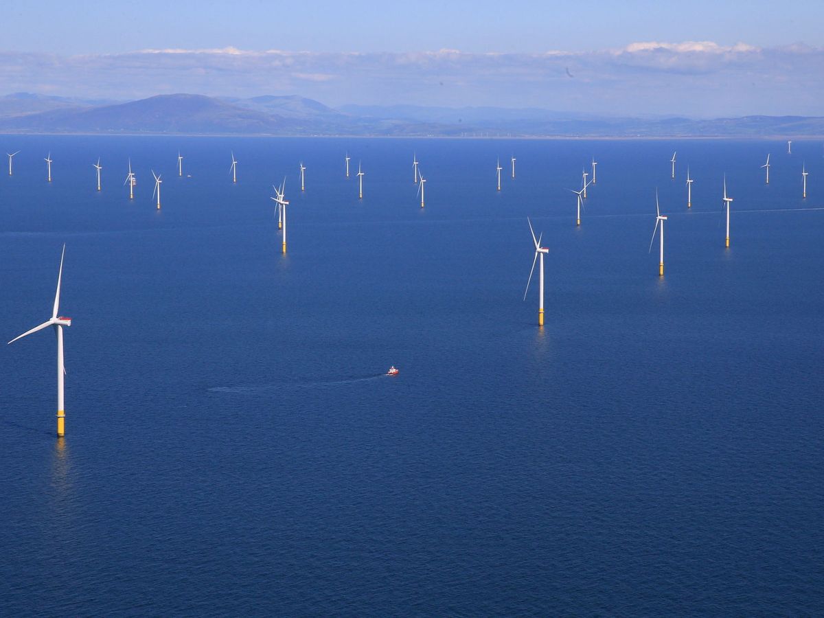 Foto: Los generadores eólicos marinos forman parte de la 'Blue  Economy'. Reuters