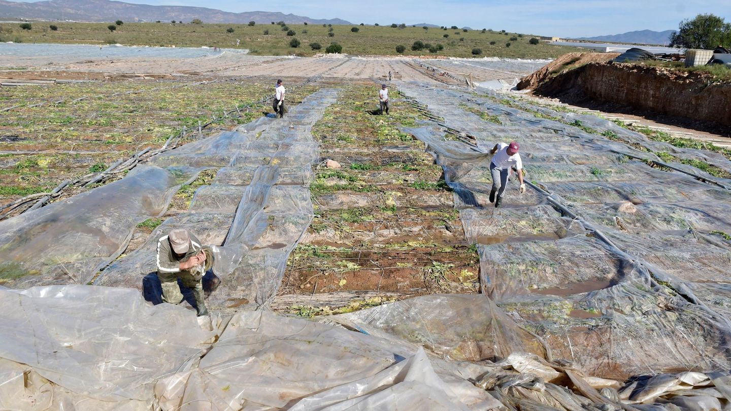 Varios trabajadores retiran restos de un invernadero en Níjar. (EFE/Carlos Barba)