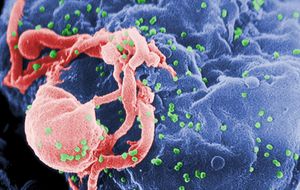 También te puede tocar a ti: el sida aumenta entre los treintañeros 