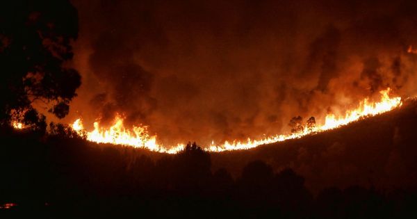 Foto: Incendio forestal declarado este domingo en la localidad de Almonaster, en Huelva. (EFE) 