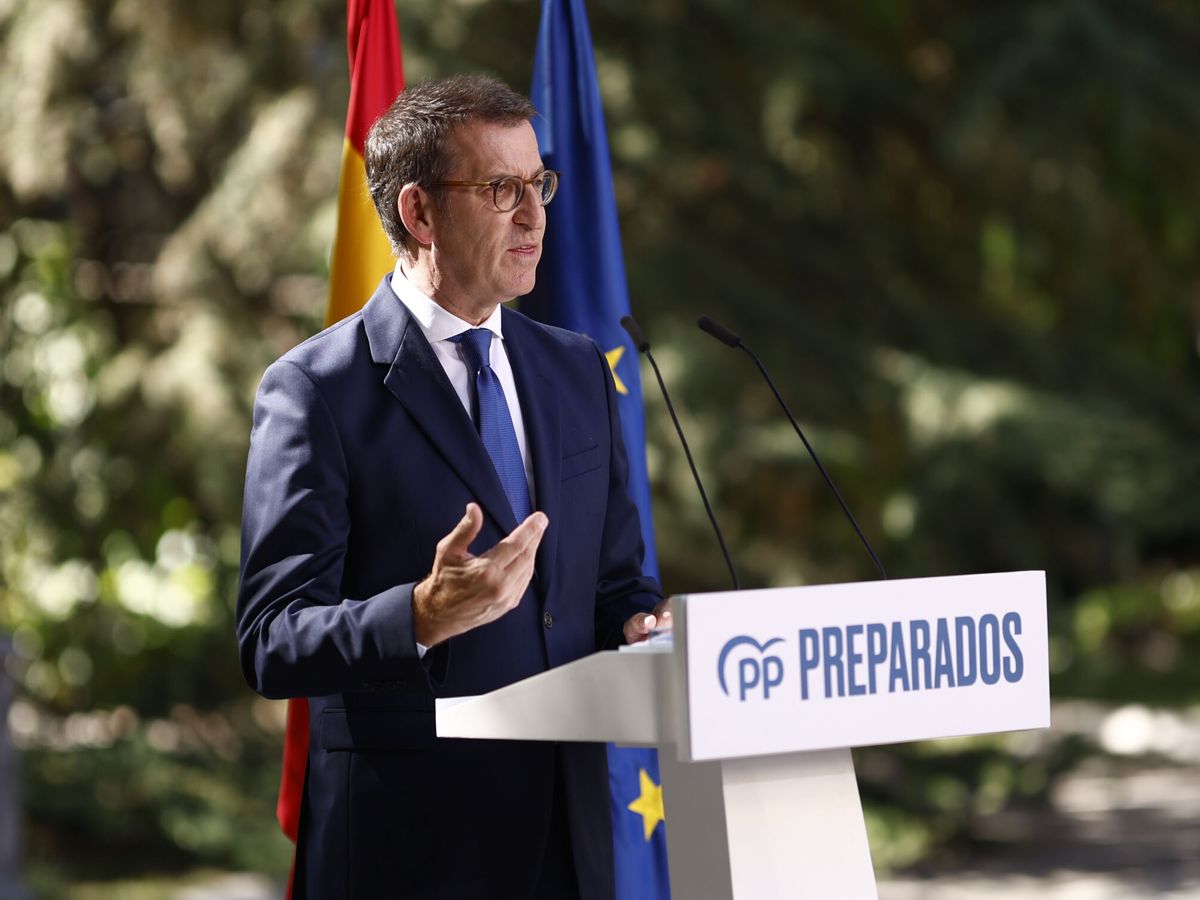 Foto: El líder del PP, Alberto Núñez Feijóo. (EFE/Rodrigo Jiménez)