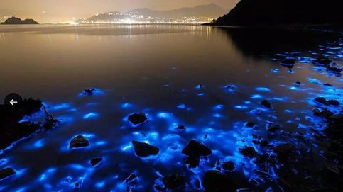 Así es el fenómeno de las playas bioluminiscentes