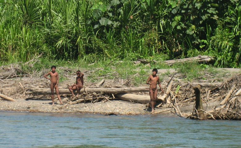 Muchos culpan a la tala ilegal en el Parque Nacional de Manu de desplazar a los indígenas de sus hogares (G. Galli - Survival International).