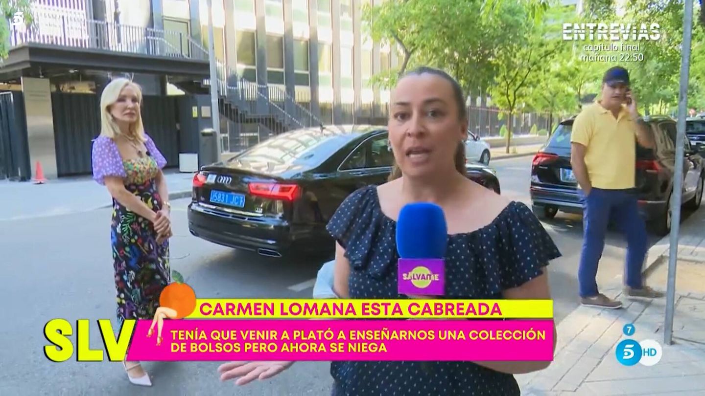 Carmen Lomana, en 'Sálvame'. (Mediaset)
