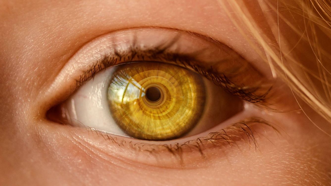 Foto: La retina del ojo puede indicar nuestro envejecimiento biológico. (Pexels)